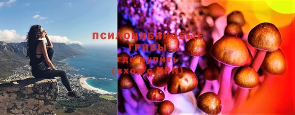 круглые Дедовск